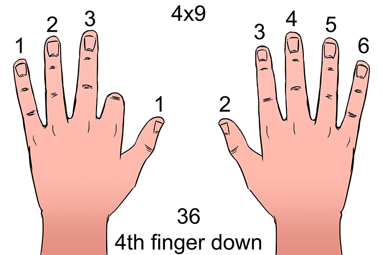 Using fingers on hands to work out four times nine